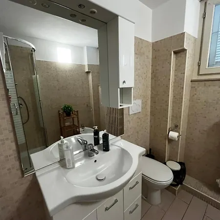 Excelsior Garden Living